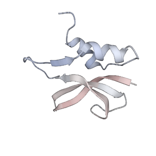 21627_6wd8_U_v1-2
Cryo-EM of elongating ribosome with EF-Tu*GTP elucidates tRNA proofreading (Cognate Structure III-A)