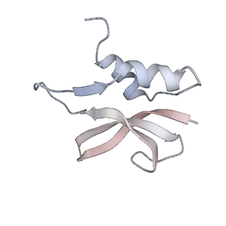21627_6wd8_U_v1-3
Cryo-EM of elongating ribosome with EF-Tu*GTP elucidates tRNA proofreading (Cognate Structure III-A)
