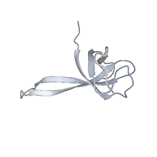 21627_6wd8_V_v1-3
Cryo-EM of elongating ribosome with EF-Tu*GTP elucidates tRNA proofreading (Cognate Structure III-A)