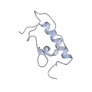 21627_6wd8_W_v1-3
Cryo-EM of elongating ribosome with EF-Tu*GTP elucidates tRNA proofreading (Cognate Structure III-A)