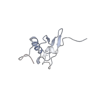 21627_6wd8_X_v1-2
Cryo-EM of elongating ribosome with EF-Tu*GTP elucidates tRNA proofreading (Cognate Structure III-A)