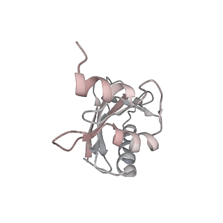 21627_6wd8_a_v1-2
Cryo-EM of elongating ribosome with EF-Tu*GTP elucidates tRNA proofreading (Cognate Structure III-A)