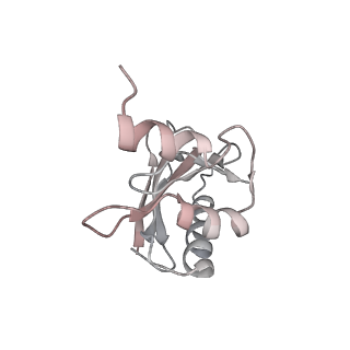 21627_6wd8_a_v1-3
Cryo-EM of elongating ribosome with EF-Tu*GTP elucidates tRNA proofreading (Cognate Structure III-A)