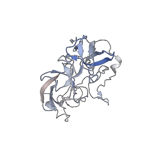 21627_6wd8_b_v1-2
Cryo-EM of elongating ribosome with EF-Tu*GTP elucidates tRNA proofreading (Cognate Structure III-A)