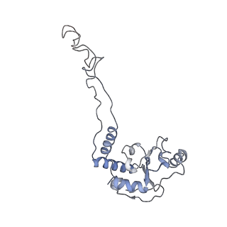 21627_6wd8_d_v1-2
Cryo-EM of elongating ribosome with EF-Tu*GTP elucidates tRNA proofreading (Cognate Structure III-A)