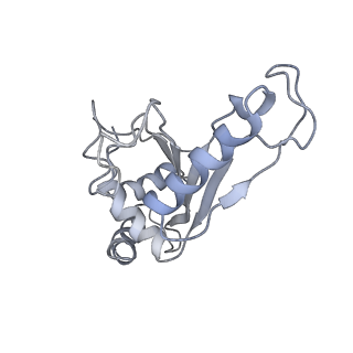 21627_6wd8_e_v1-2
Cryo-EM of elongating ribosome with EF-Tu*GTP elucidates tRNA proofreading (Cognate Structure III-A)