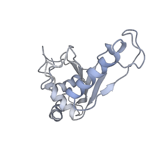 21627_6wd8_e_v1-3
Cryo-EM of elongating ribosome with EF-Tu*GTP elucidates tRNA proofreading (Cognate Structure III-A)