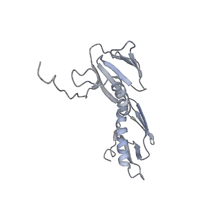 21627_6wd8_f_v1-2
Cryo-EM of elongating ribosome with EF-Tu*GTP elucidates tRNA proofreading (Cognate Structure III-A)