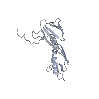 21627_6wd8_f_v1-3
Cryo-EM of elongating ribosome with EF-Tu*GTP elucidates tRNA proofreading (Cognate Structure III-A)