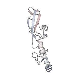 21627_6wd8_g_v1-3
Cryo-EM of elongating ribosome with EF-Tu*GTP elucidates tRNA proofreading (Cognate Structure III-A)