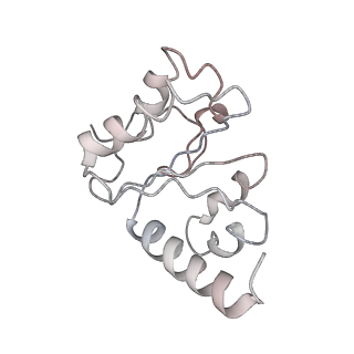 21627_6wd8_h_v1-3
Cryo-EM of elongating ribosome with EF-Tu*GTP elucidates tRNA proofreading (Cognate Structure III-A)