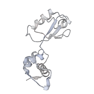 21627_6wd8_i_v1-2
Cryo-EM of elongating ribosome with EF-Tu*GTP elucidates tRNA proofreading (Cognate Structure III-A)
