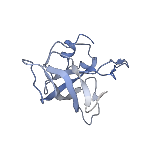 21627_6wd8_k_v1-2
Cryo-EM of elongating ribosome with EF-Tu*GTP elucidates tRNA proofreading (Cognate Structure III-A)