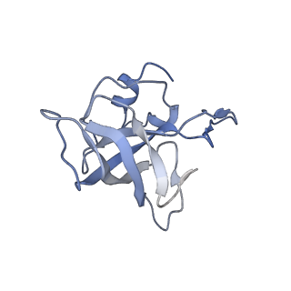 21627_6wd8_k_v1-3
Cryo-EM of elongating ribosome with EF-Tu*GTP elucidates tRNA proofreading (Cognate Structure III-A)