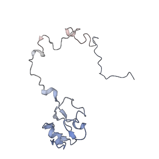 21627_6wd8_l_v1-2
Cryo-EM of elongating ribosome with EF-Tu*GTP elucidates tRNA proofreading (Cognate Structure III-A)