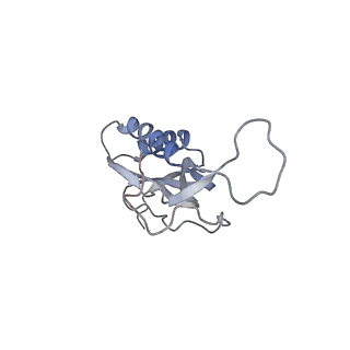 21627_6wd8_m_v1-2
Cryo-EM of elongating ribosome with EF-Tu*GTP elucidates tRNA proofreading (Cognate Structure III-A)