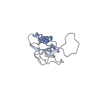 21627_6wd8_m_v1-3
Cryo-EM of elongating ribosome with EF-Tu*GTP elucidates tRNA proofreading (Cognate Structure III-A)