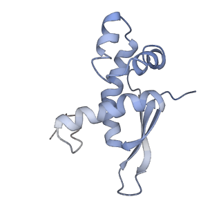21627_6wd8_n_v1-2
Cryo-EM of elongating ribosome with EF-Tu*GTP elucidates tRNA proofreading (Cognate Structure III-A)