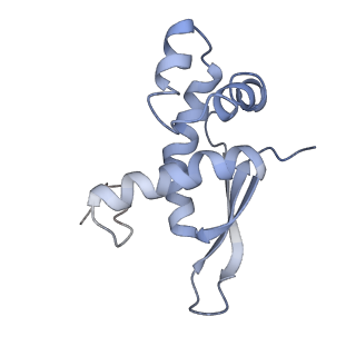 21627_6wd8_n_v1-3
Cryo-EM of elongating ribosome with EF-Tu*GTP elucidates tRNA proofreading (Cognate Structure III-A)