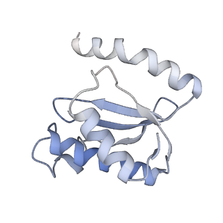 21627_6wd8_o_v1-3
Cryo-EM of elongating ribosome with EF-Tu*GTP elucidates tRNA proofreading (Cognate Structure III-A)