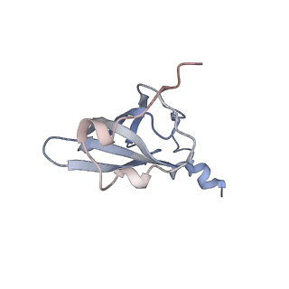 21627_6wd8_p_v1-2
Cryo-EM of elongating ribosome with EF-Tu*GTP elucidates tRNA proofreading (Cognate Structure III-A)