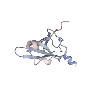 21627_6wd8_p_v1-3
Cryo-EM of elongating ribosome with EF-Tu*GTP elucidates tRNA proofreading (Cognate Structure III-A)