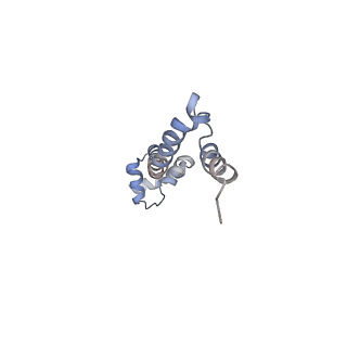 21627_6wd8_q_v1-2
Cryo-EM of elongating ribosome with EF-Tu*GTP elucidates tRNA proofreading (Cognate Structure III-A)