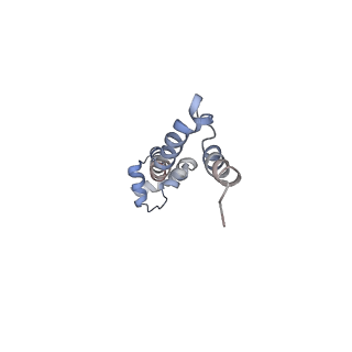 21627_6wd8_q_v1-3
Cryo-EM of elongating ribosome with EF-Tu*GTP elucidates tRNA proofreading (Cognate Structure III-A)