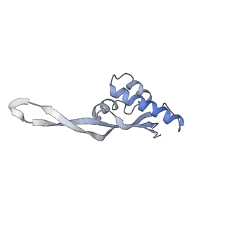21627_6wd8_s_v1-2
Cryo-EM of elongating ribosome with EF-Tu*GTP elucidates tRNA proofreading (Cognate Structure III-A)