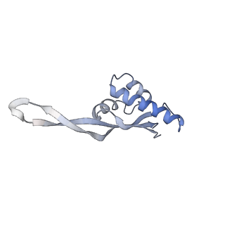 21627_6wd8_s_v1-3
Cryo-EM of elongating ribosome with EF-Tu*GTP elucidates tRNA proofreading (Cognate Structure III-A)