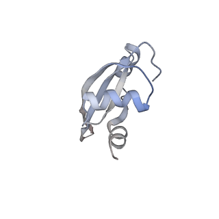 21627_6wd8_t_v1-3
Cryo-EM of elongating ribosome with EF-Tu*GTP elucidates tRNA proofreading (Cognate Structure III-A)