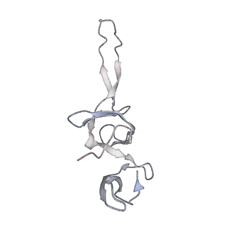21627_6wd8_u_v1-2
Cryo-EM of elongating ribosome with EF-Tu*GTP elucidates tRNA proofreading (Cognate Structure III-A)