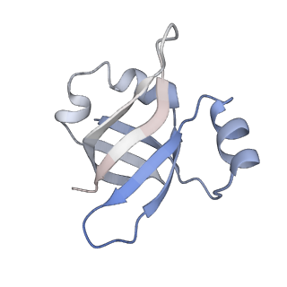 21627_6wd8_v_v1-2
Cryo-EM of elongating ribosome with EF-Tu*GTP elucidates tRNA proofreading (Cognate Structure III-A)