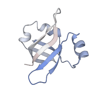 21627_6wd8_v_v1-3
Cryo-EM of elongating ribosome with EF-Tu*GTP elucidates tRNA proofreading (Cognate Structure III-A)