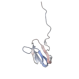 21627_6wd8_w_v1-3
Cryo-EM of elongating ribosome with EF-Tu*GTP elucidates tRNA proofreading (Cognate Structure III-A)