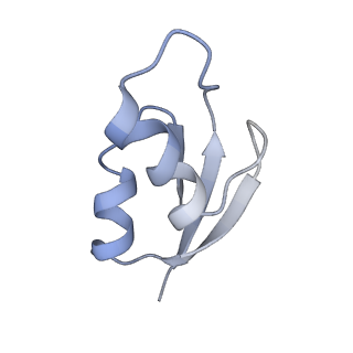 21627_6wd8_z_v1-2
Cryo-EM of elongating ribosome with EF-Tu*GTP elucidates tRNA proofreading (Cognate Structure III-A)