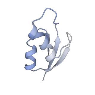 21627_6wd8_z_v1-3
Cryo-EM of elongating ribosome with EF-Tu*GTP elucidates tRNA proofreading (Cognate Structure III-A)