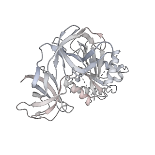 21628_6wd9_8_v1-2
Cryo-EM of elongating ribosome with EF-Tu*GTP elucidates tRNA proofreading (Cognate Structure III-B)