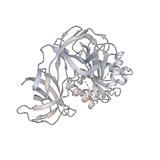 21628_6wd9_8_v1-3
Cryo-EM of elongating ribosome with EF-Tu*GTP elucidates tRNA proofreading (Cognate Structure III-B)