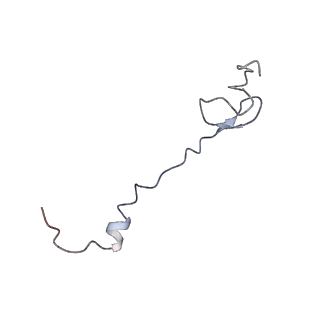 21628_6wd9_B_v1-2
Cryo-EM of elongating ribosome with EF-Tu*GTP elucidates tRNA proofreading (Cognate Structure III-B)