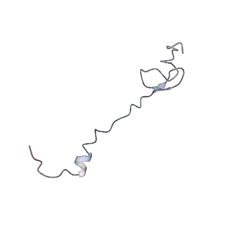 21628_6wd9_B_v1-3
Cryo-EM of elongating ribosome with EF-Tu*GTP elucidates tRNA proofreading (Cognate Structure III-B)