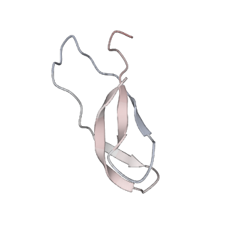 21628_6wd9_C_v1-3
Cryo-EM of elongating ribosome with EF-Tu*GTP elucidates tRNA proofreading (Cognate Structure III-B)