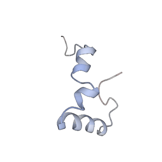 21628_6wd9_D_v1-3
Cryo-EM of elongating ribosome with EF-Tu*GTP elucidates tRNA proofreading (Cognate Structure III-B)