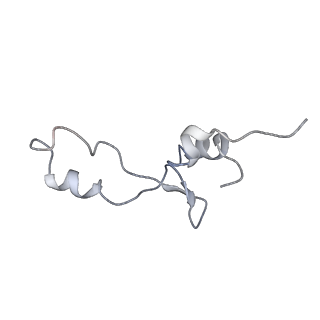 21628_6wd9_E_v1-2
Cryo-EM of elongating ribosome with EF-Tu*GTP elucidates tRNA proofreading (Cognate Structure III-B)