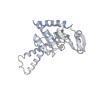 21628_6wd9_G_v1-2
Cryo-EM of elongating ribosome with EF-Tu*GTP elucidates tRNA proofreading (Cognate Structure III-B)