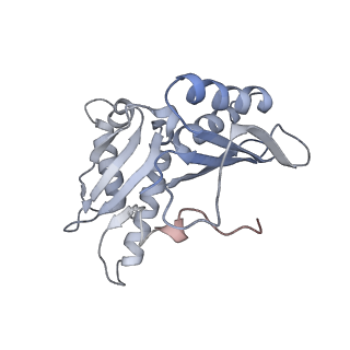 21628_6wd9_H_v1-2
Cryo-EM of elongating ribosome with EF-Tu*GTP elucidates tRNA proofreading (Cognate Structure III-B)