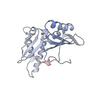 21628_6wd9_H_v1-3
Cryo-EM of elongating ribosome with EF-Tu*GTP elucidates tRNA proofreading (Cognate Structure III-B)