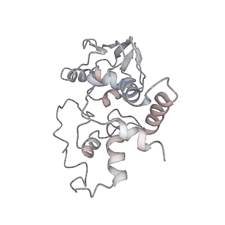 21628_6wd9_I_v1-2
Cryo-EM of elongating ribosome with EF-Tu*GTP elucidates tRNA proofreading (Cognate Structure III-B)