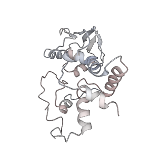 21628_6wd9_I_v1-3
Cryo-EM of elongating ribosome with EF-Tu*GTP elucidates tRNA proofreading (Cognate Structure III-B)