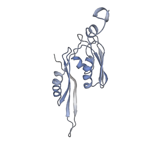 21628_6wd9_J_v1-2
Cryo-EM of elongating ribosome with EF-Tu*GTP elucidates tRNA proofreading (Cognate Structure III-B)